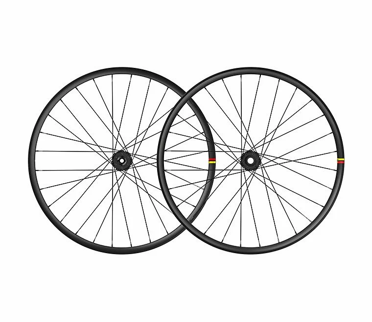 JGO RUEDAS MAVIC DEEMAX DH 2020 4 JGO RUEDAS MAVIC DEEMAX DH 2020 - Imagen 2